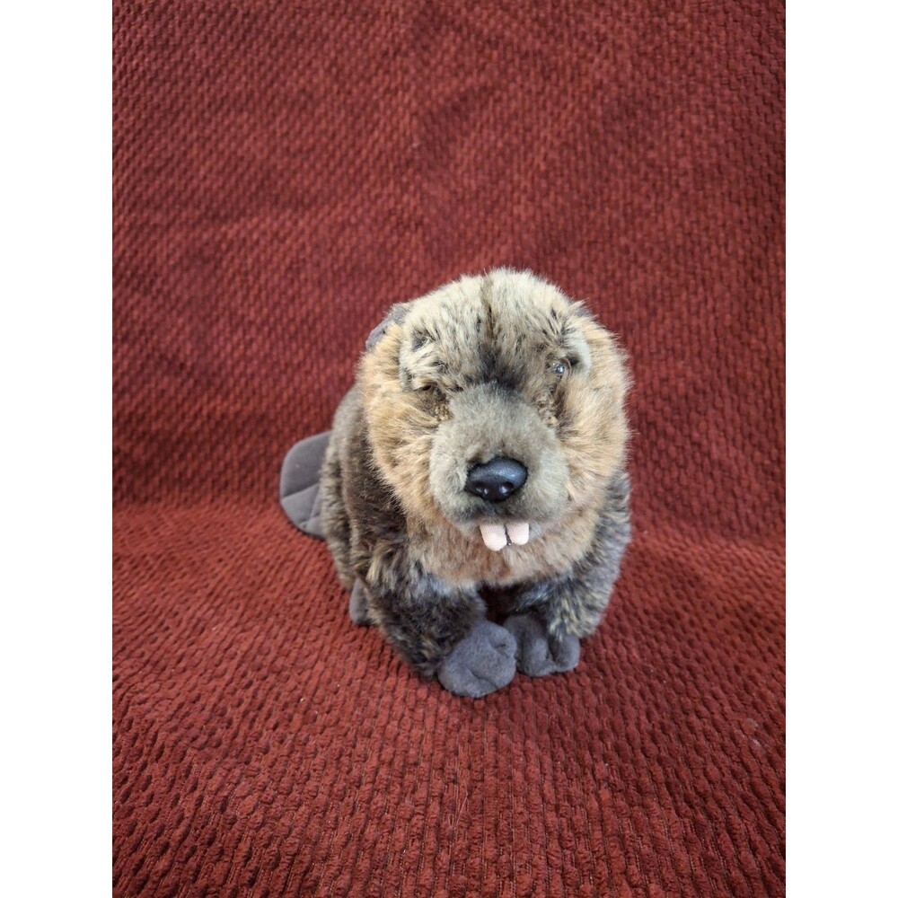 Webkinz Signature Beaver! Super Solf!  (No Code